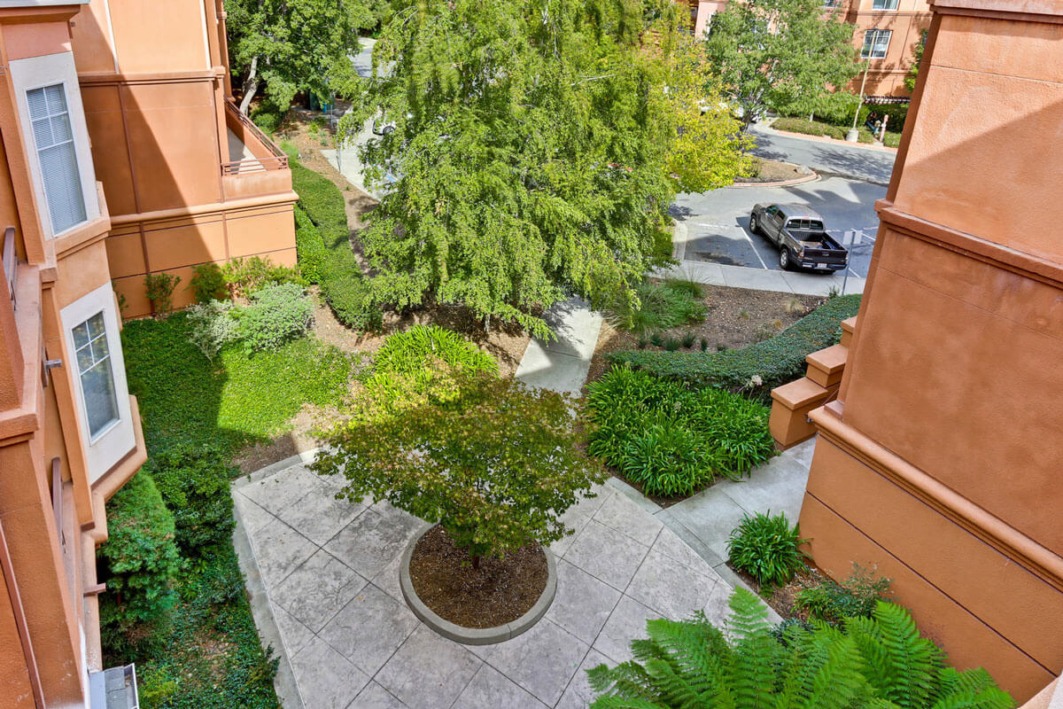 320 Caldecott, 301, Oakland CA