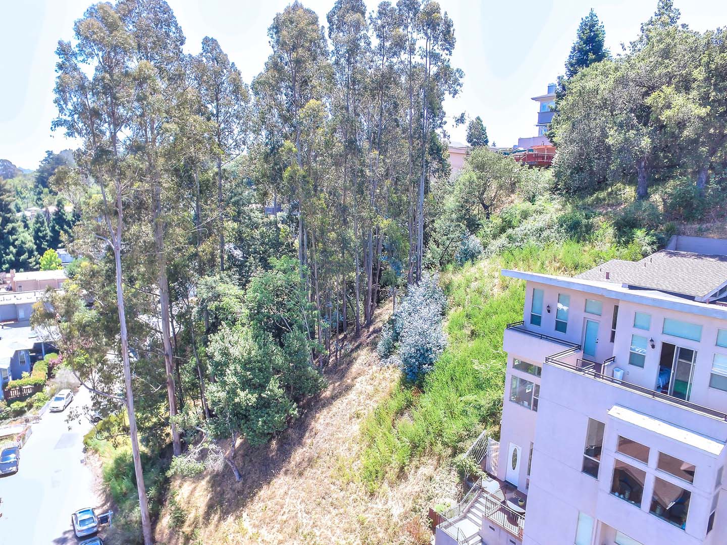 217 Sheridan Rd, Oakland CA